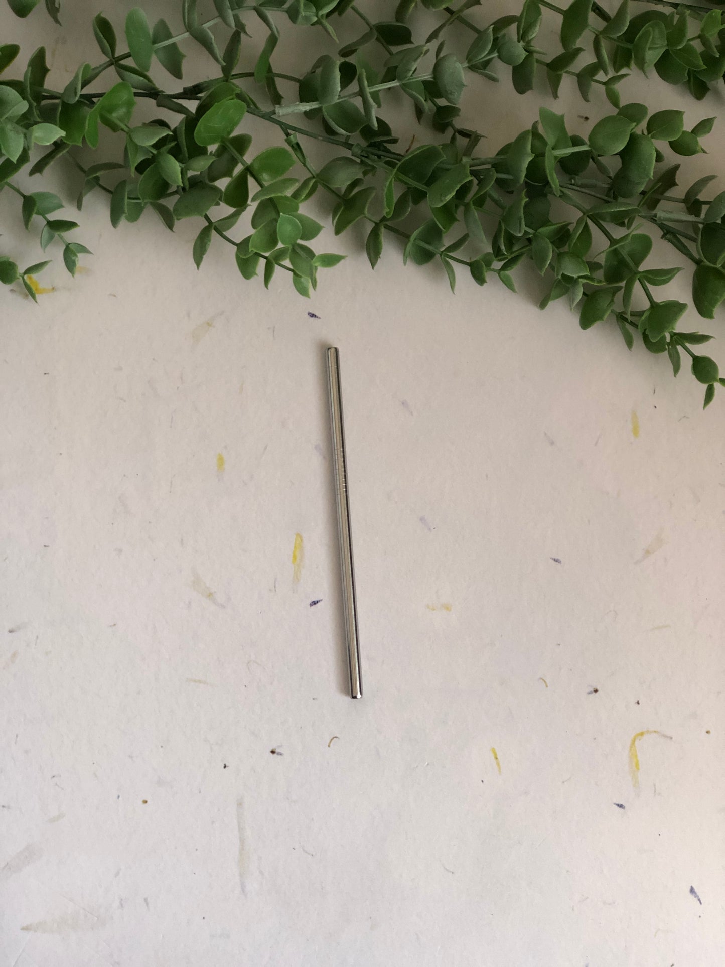 Re-usable Metal Straws