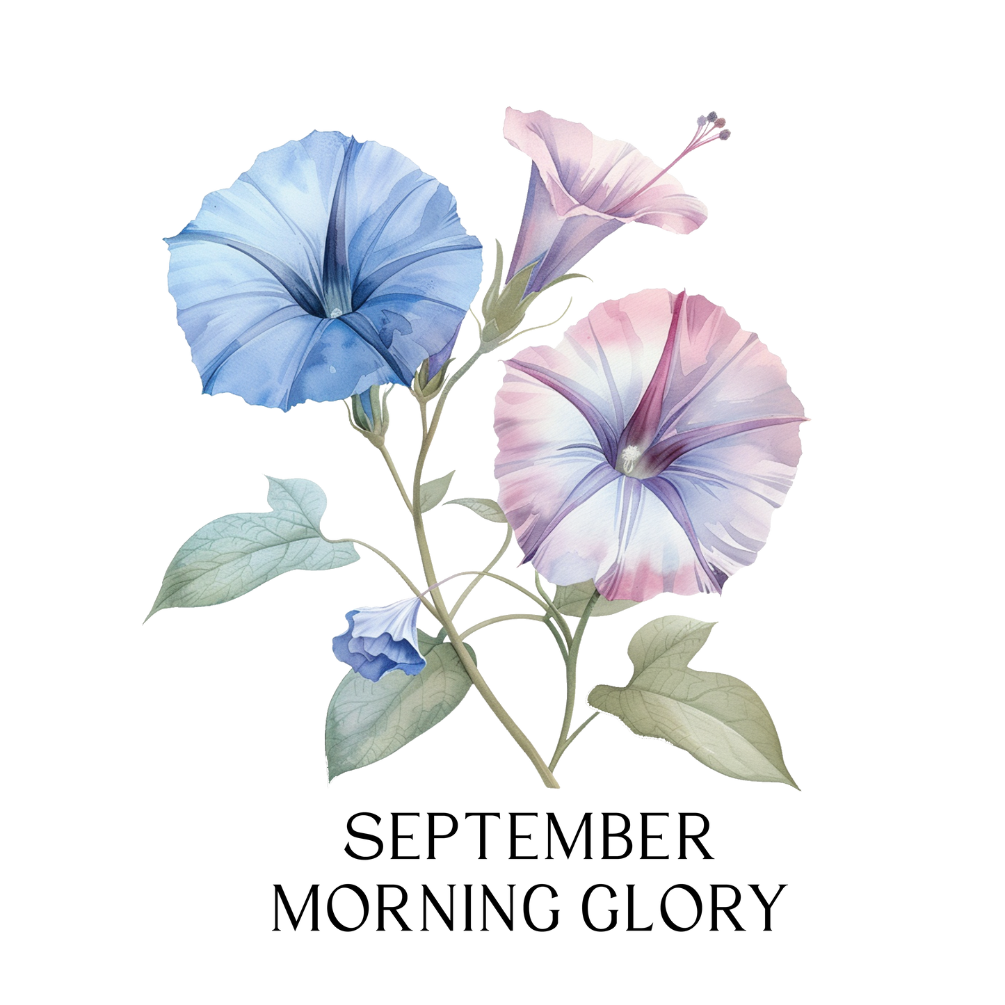 Glass Can - Birth  Month Flower