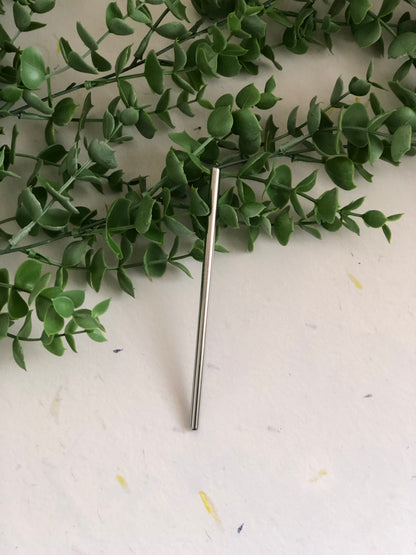 Re-usable Metal Straws