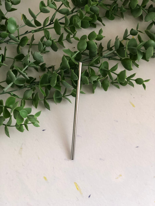Re-usable Metal Straws